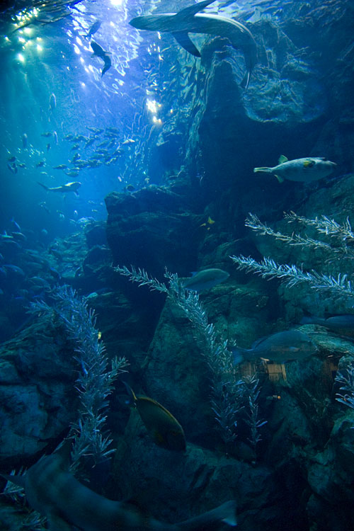 水族館