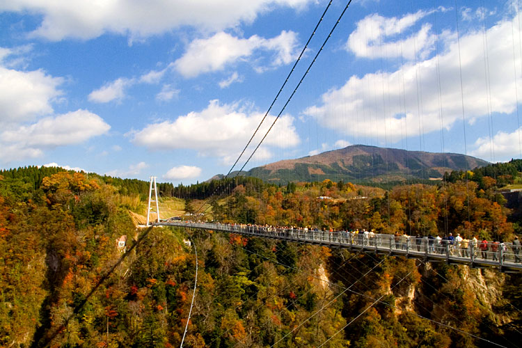 九酔渓の吊橋