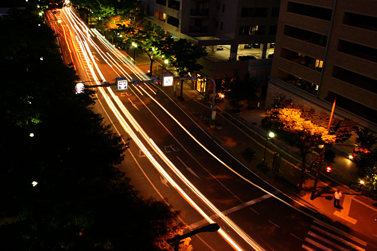 夜のけやき通り