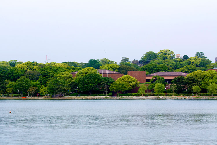 福岡市美術館