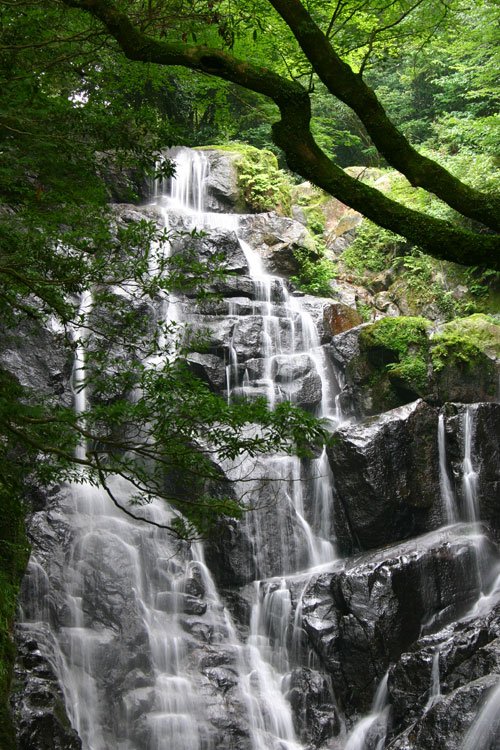 白糸の滝