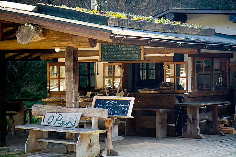 屋根に花壇のある店