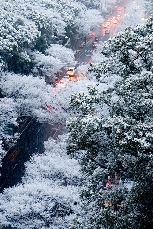 雪の帰り道