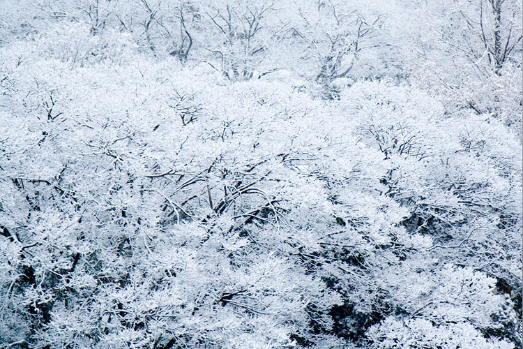 雪景色