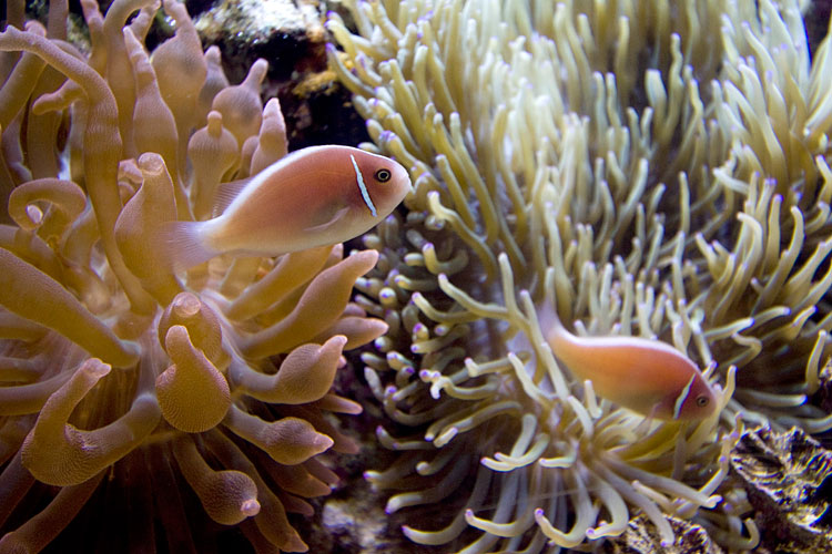 水族館