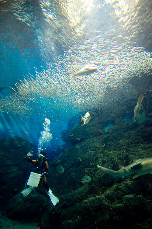 水族館