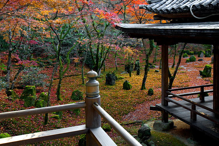 光明禅寺の紅葉