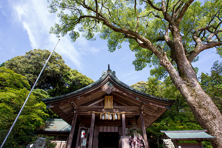 竈門神社