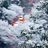 雪の帰り道