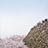 福岡城天守台と桜